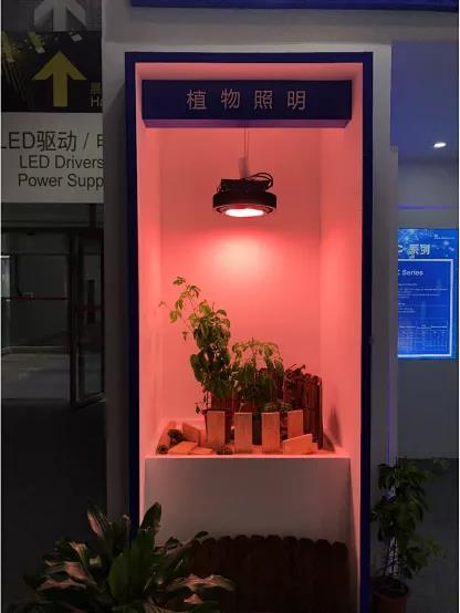 Shineon plant lighting illuminates modern agriculture