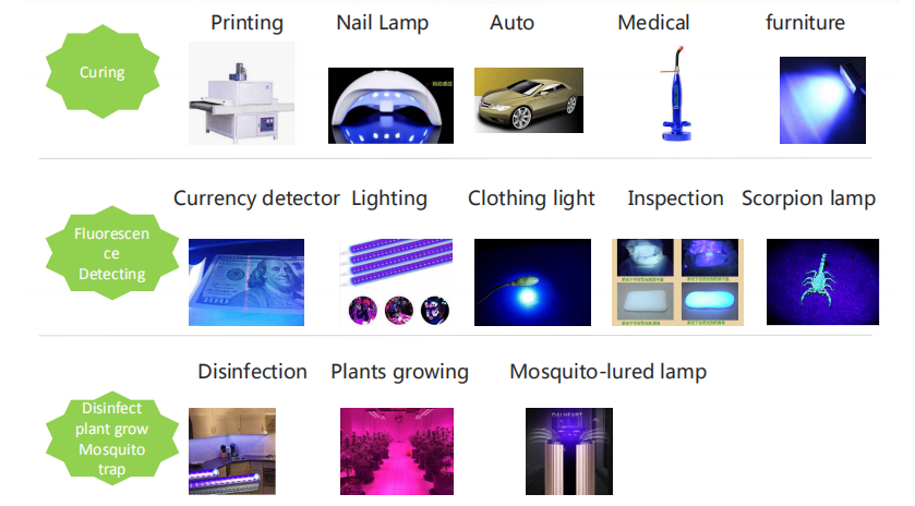 Shineon терең UV LED сизди 2021-жылы коштоп жүрөт